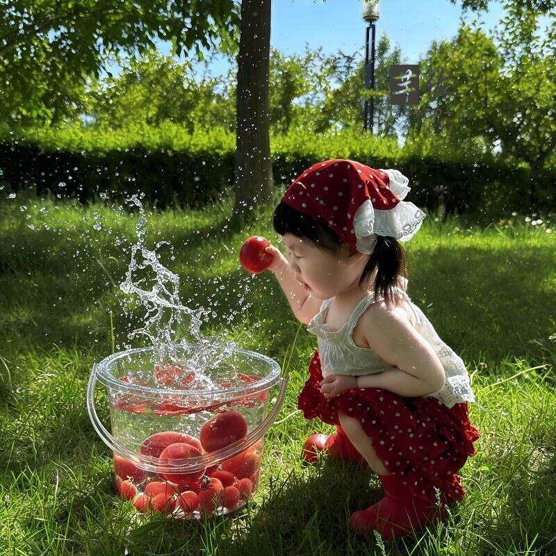 Food Grade Large Capacity Tran - Baby Food Intake ulasan dan harga